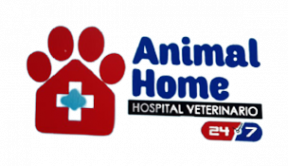 Animal Home Hospital 24 hrs